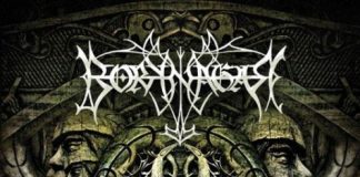 borknagar 20120211