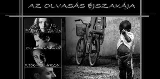 olvasas 20130908