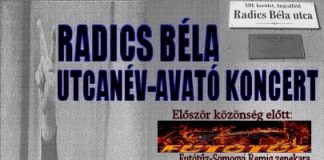 radics 405 x 600