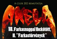 Akela – Újra kiadják a 20 éves Farkastörvények lemezt, ehhez koncert is párosul akela 20131001