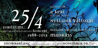 254 flyer 20131116
