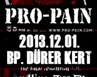 ProPain flyer 20131123