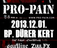 ProPain flyer 20131123