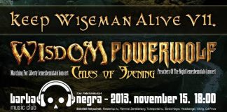wisdom flyer 20131113