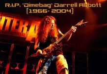 Dimebag 20131208