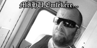 angerseed flyer 20131216