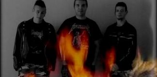 werrier 20131210