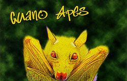 guano