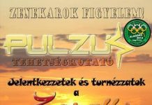 pulzus-flyer 20140215