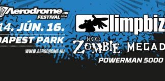 aerodrome-flyer 20140306