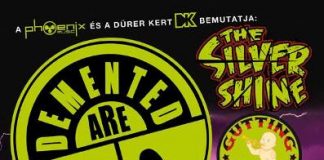 demented-are-go-flyer 20140314