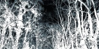 in-vacuo 20140315