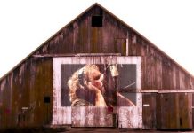 sammy-hagar 20140312