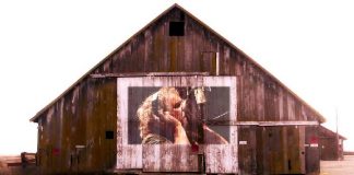 sammy-hagar 20140312