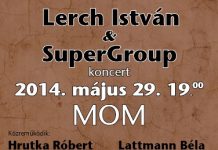 lerch-flyer 20140406