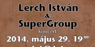 lerch-flyer 20140406