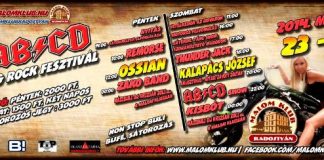 V ABCD flyer 20140518