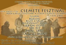 Török Ádám és az Új Mini – Utcabál és lemezbemutató koncert Óbudán csemete-feszt-flyer 20140509