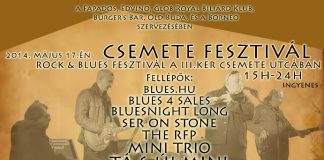 csemete-feszt-flyer 20140509