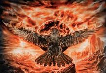 falconer 20140515
