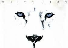 white-lion1 20140517