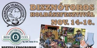 diszno-flyer 20140625