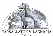 Társállatok Világnapja – Hétvégén sétáltassuk meg kedvenceinket tarsallatok 20140620