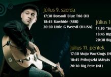 kobuci-flyer 20140708