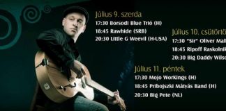 Little G Weevil, foci vb és Blues Fesztivál a Kobuci Kertben kobuci-flyer 20140708