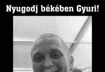 Titkolt Ellenállás – Elhunyt Cseresznye György, a zenekar frontembere titkolt-ellenallas 20140711