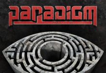 Paradigm borito