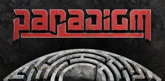 Paradigm borito