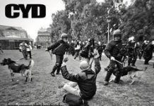 Hardcore Esztergomból-Itt a C.Y.D. bemutatkozó EP-je cyd