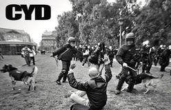 cyd