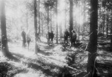 in-the-woods 20140814
