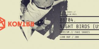 Night Birds – Ősbunkó hardcore-punk az USA-ból ma este a Kontra Klubban night-birds-flyer 20140804