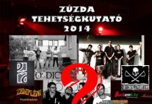 tehetsegkutato-flyer 20140906