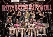 rozsaszin-pittbul 20141031