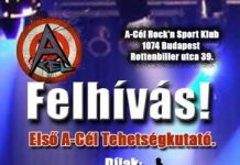 acel-tehetsegkutato-flyer 20141118