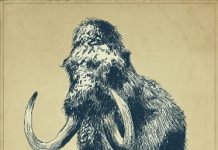 orias-flyer 20141102