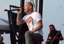 stone-sour 20141101