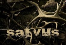 Salvus – Februárban érkezik az új nagylemez salvus 20141214