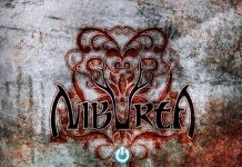 Január 10-én jelenik meg a Niburta ReSet c. EP-je! Niburta Re-set 20150106
