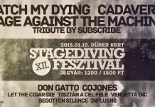 XII. Stagediving Fesztivál – Irány a Dürer Kert szombaton Stagediving 20150105
