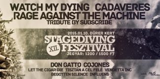 Stagediving 20150105