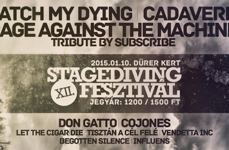 XII. Stagediving Fesztivál – Irány a Dürer Kert szombaton Stagediving 20150105