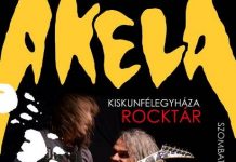 akela-flyer 20150129