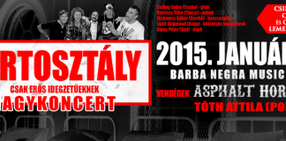 zartosztaly 20150119