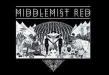 A Middlemist Red visszatér az A38 gyomrába middlemist-red-flyer 20150927