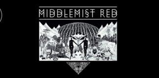 A Middlemist Red visszatér az A38 gyomrába middlemist-red-flyer 20150927